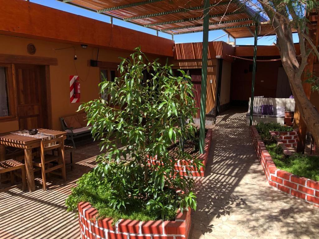 Hostal Nuevo Amanecer San Pedro de Atacama Exteriér fotografie